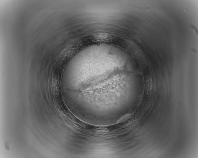 X0000102280653200808011451