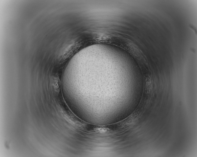 X0000102280654200808011451