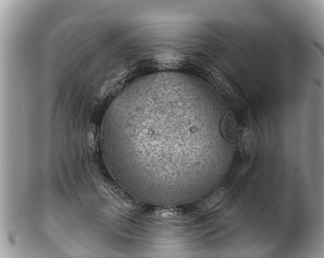 X0000102280655200808011451