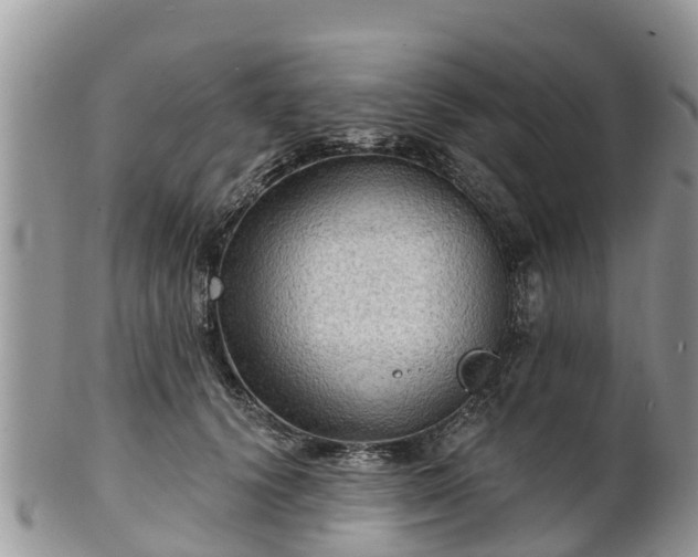 X0000102280656200808011451