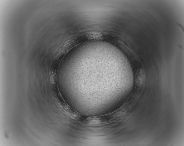 X0000102280658200808011451