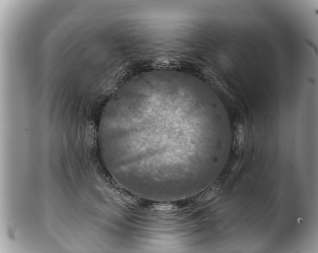 X0000102280659200808011451