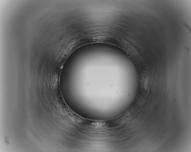 X0000102280660200808011451