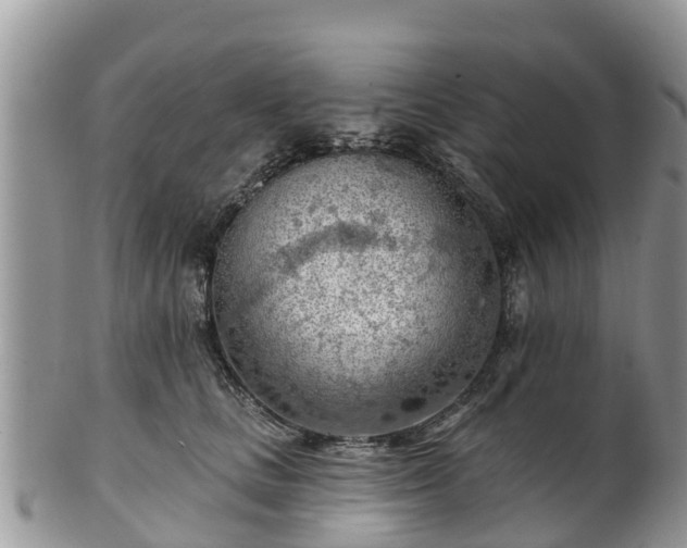 X0000102280661200808011451