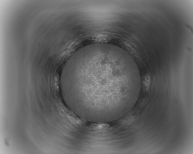 X0000102280663200808011451