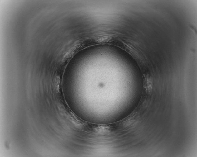 X0000102280664200808011451