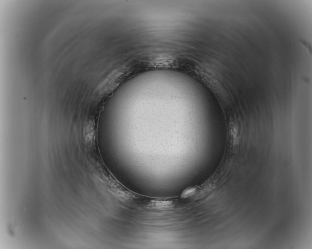 X0000102280665200808011451