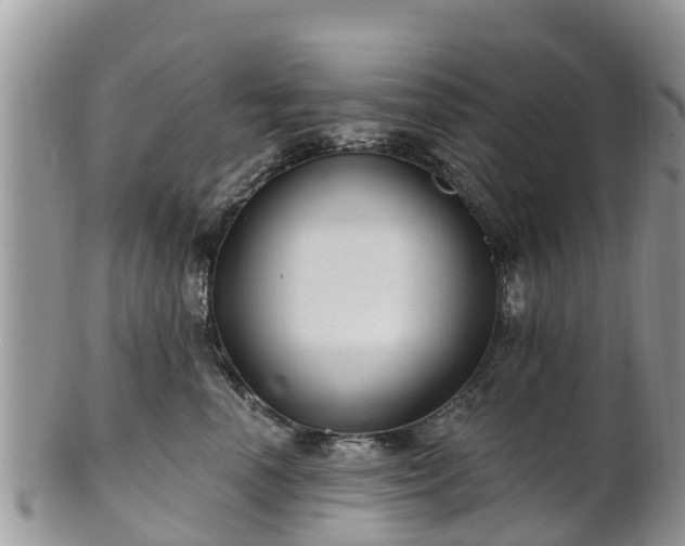 X0000102280666200808011451