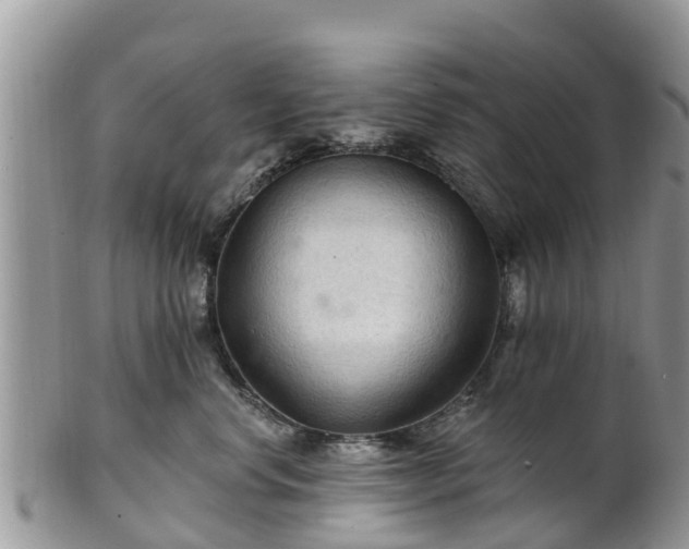 X0000102280668200808011451