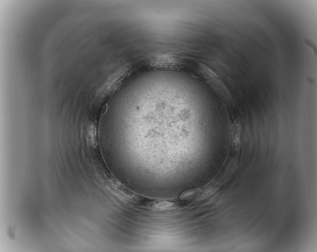 X0000102280669200808011451