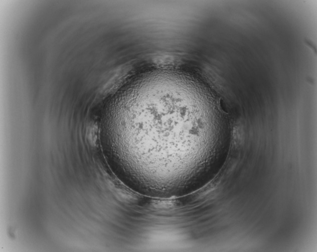 X0000102280671200808011451