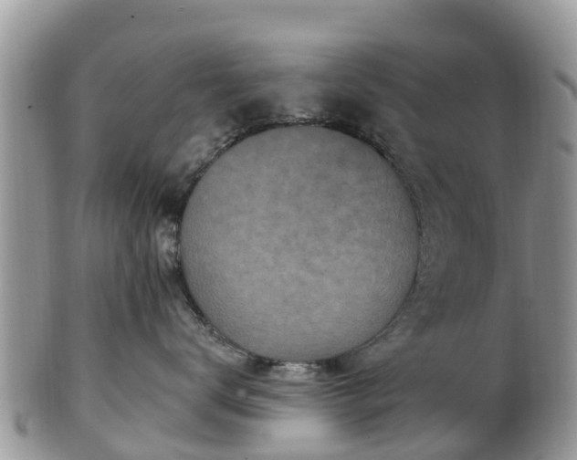 X0000102280672200808011451