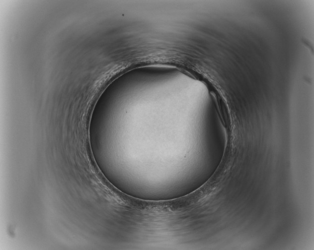 X0000102280673200808011451