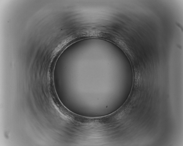 X0000102280674200808011451