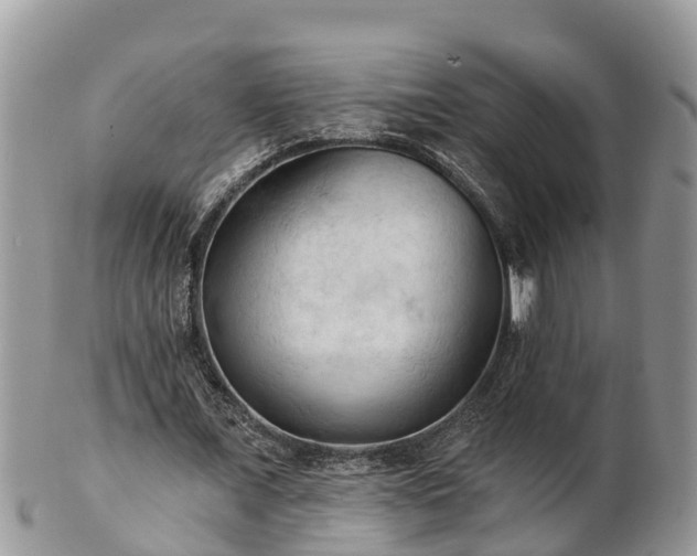 X0000102280675200808011451