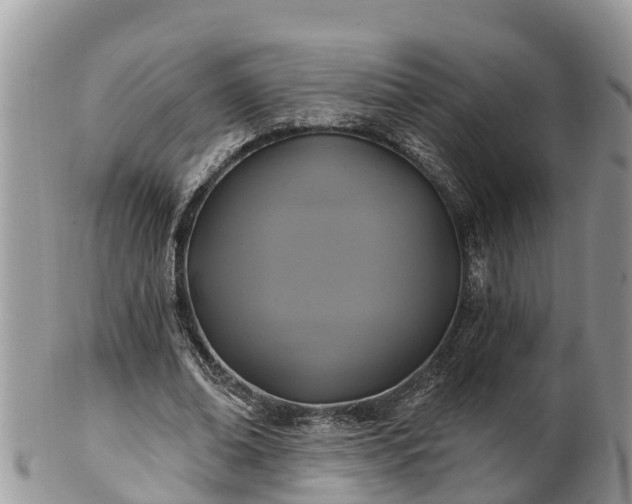 X0000102280678200808011451