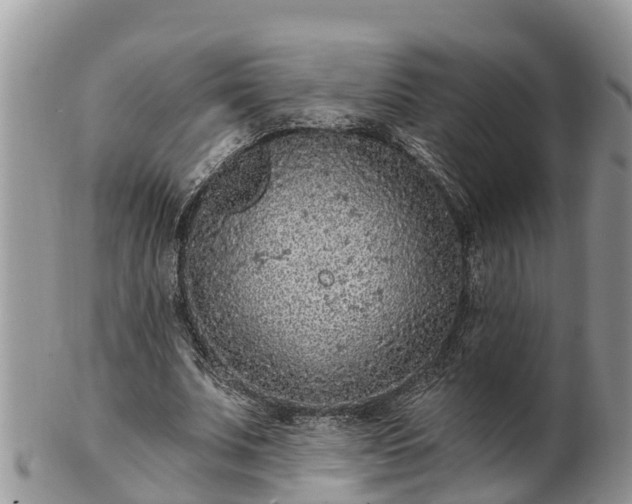 X0000102280679200808011451