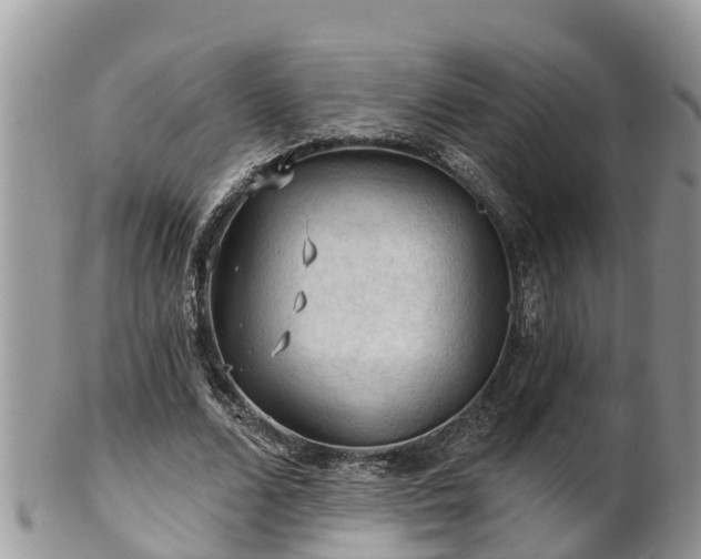 X0000102280680200808011451