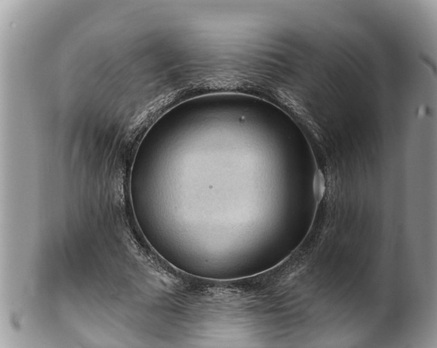 X0000102280681200808011450