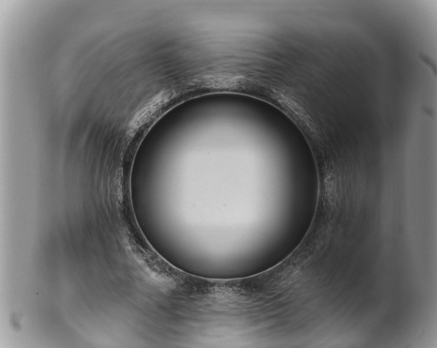 X0000102280682200808011450