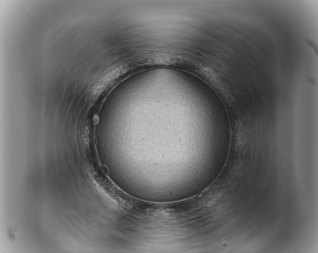 X0000102280683200808011450