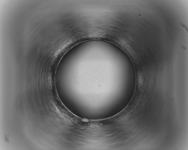 X0000102280684200808011450