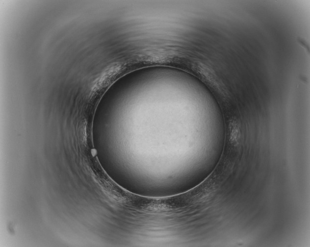 X0000102280685200808011450