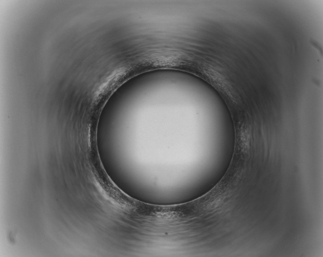 X0000102280686200808011450