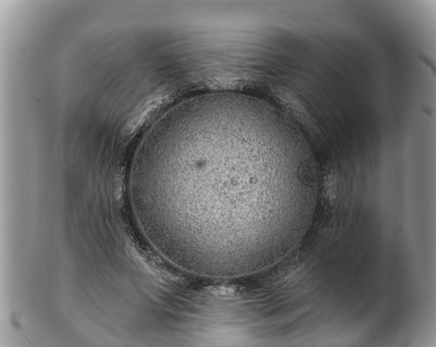 X0000102280687200808011450