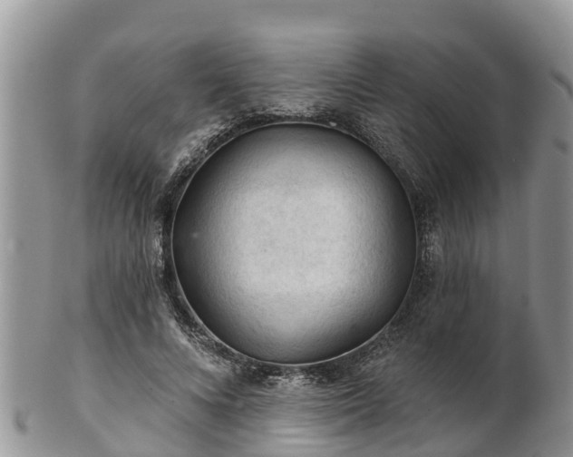 X0000102280688200808011450