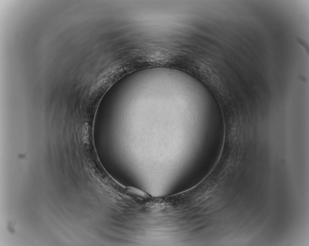 X0000102280689200808011450