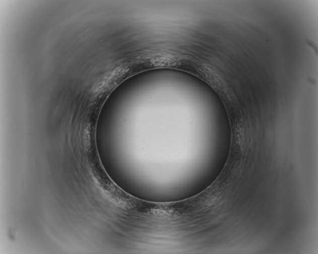 X0000102280690200808011450