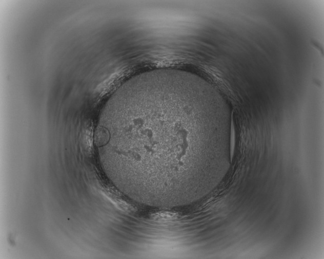 X0000102280691200808011450