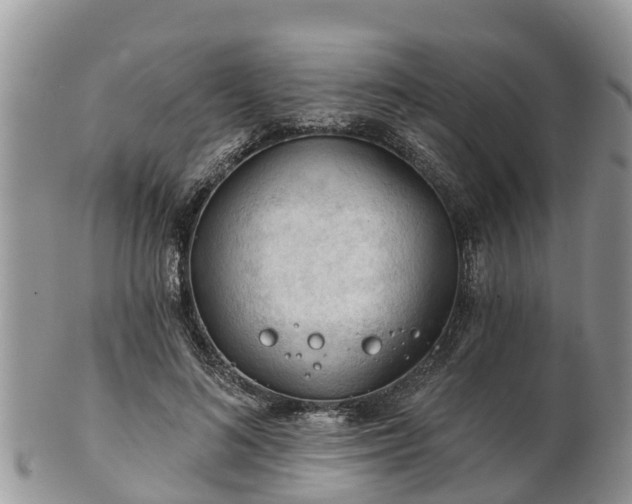 X0000102280692200808011450