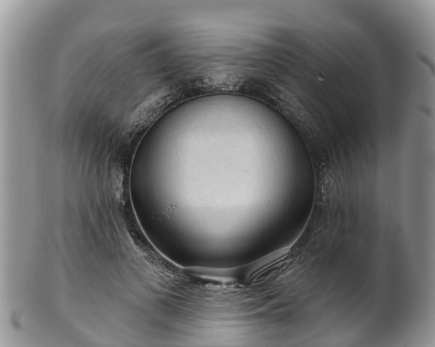 X0000102280693200808011450