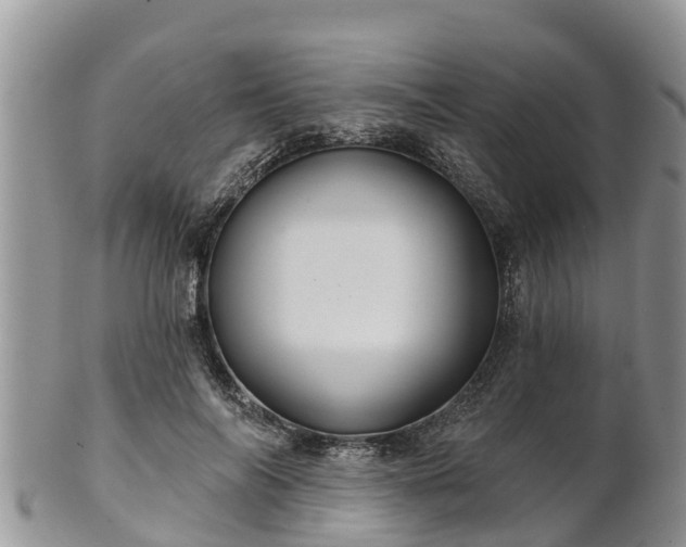 X0000102280694200808011450