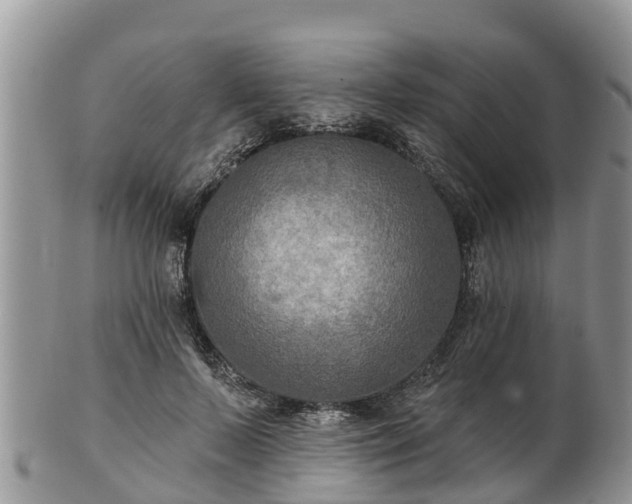 X0000102280695200808011450