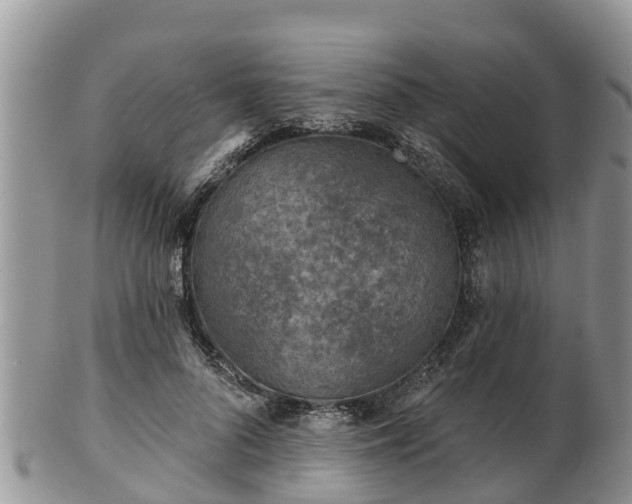 X0000102280696200808011450