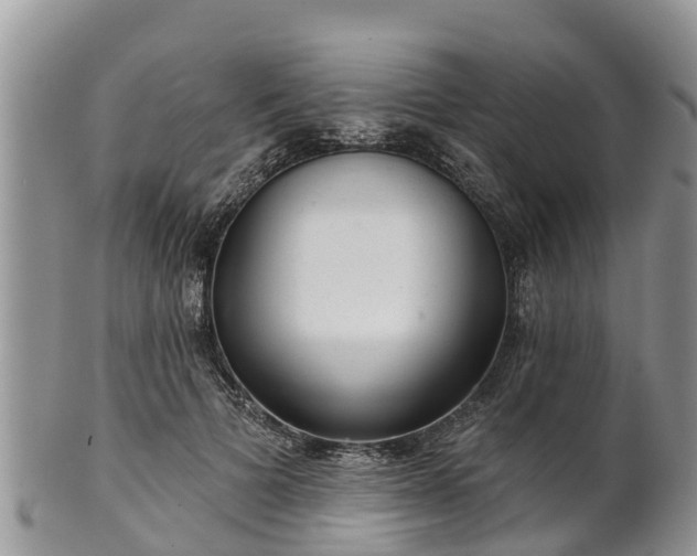 X0000102280697200808011450