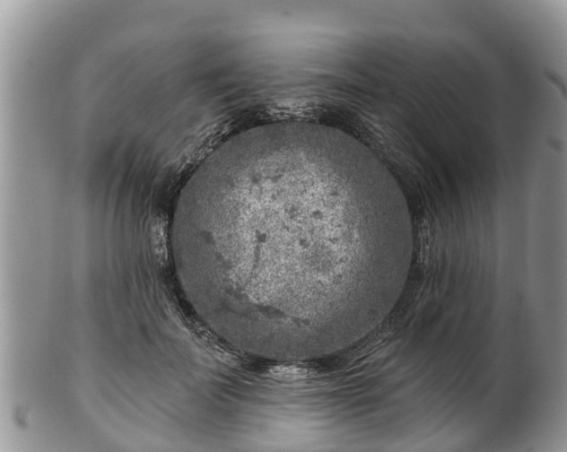 X0000102280699200808011450