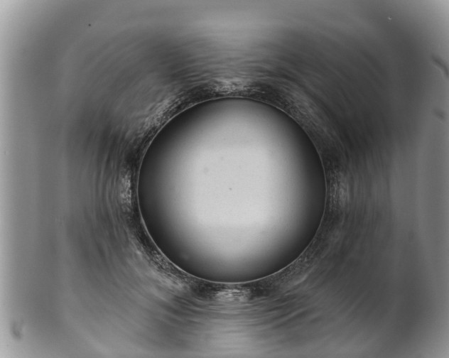 X0000102280700200808011450