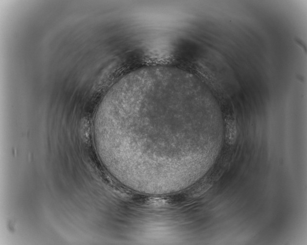 X0000102280701200808011450