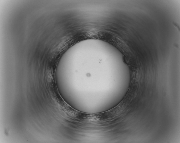 X0000102280702200808011450