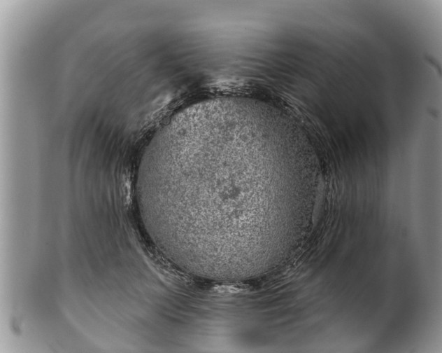 X0000102280703200808011450