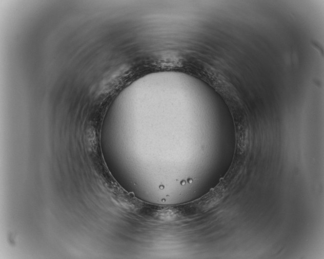 X0000102280704200808011450