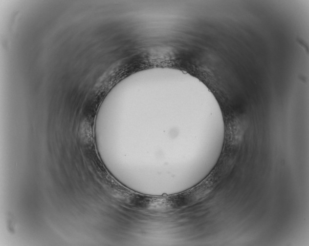 X0000102280705200808011450