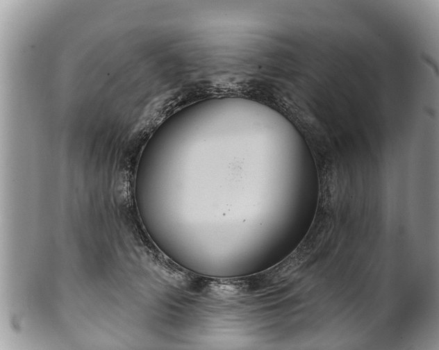 X0000102280706200808011450