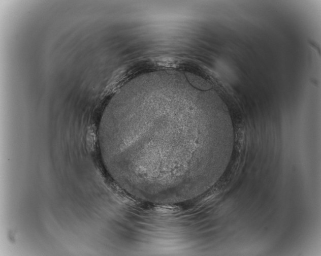 X0000102280707200808011450