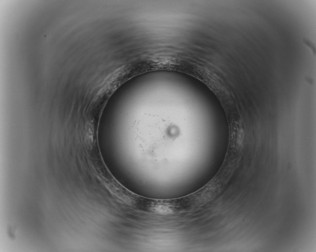 X0000102280710200808011450