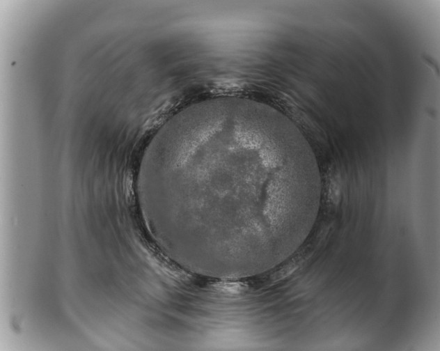 X0000102280711200808011450